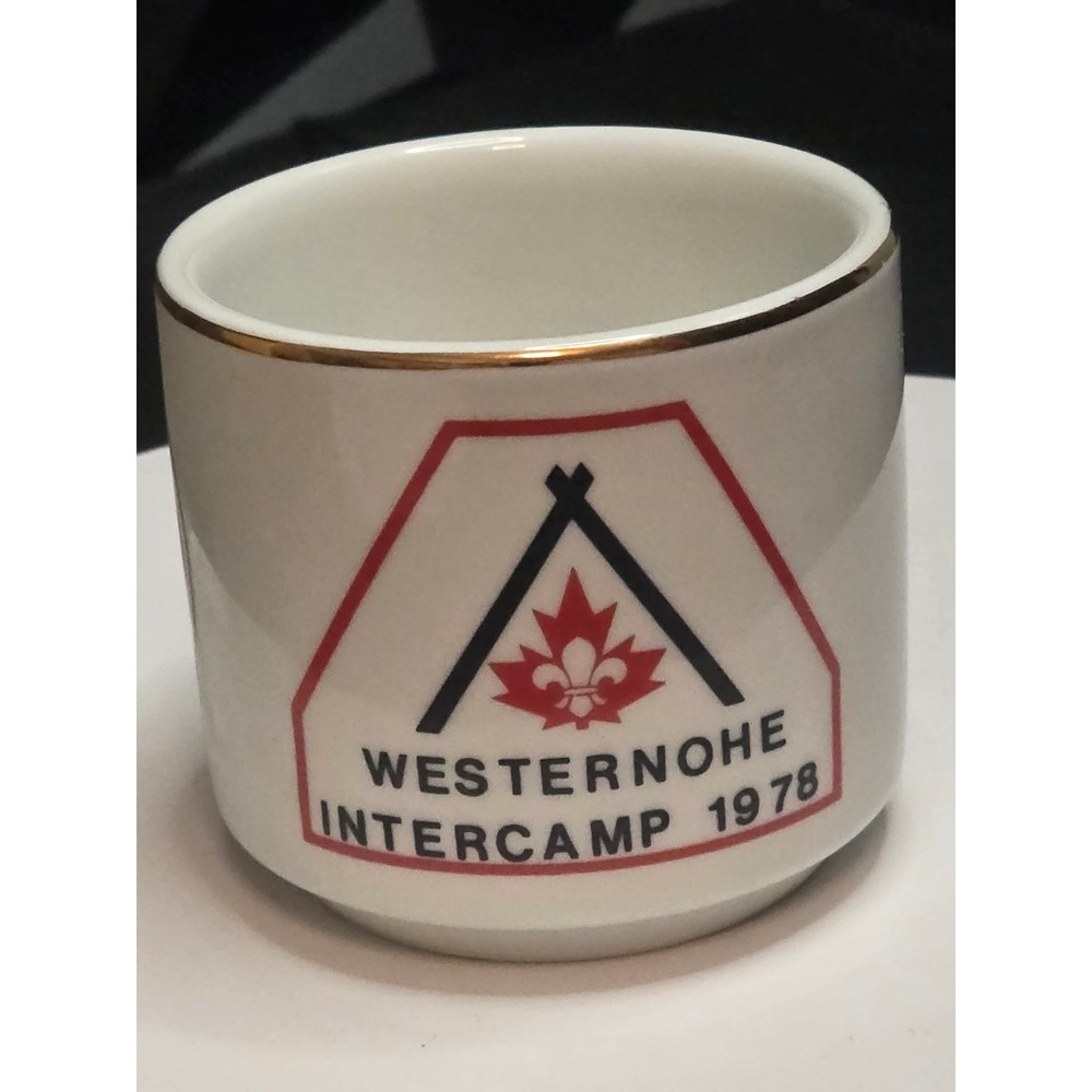 1978 Scout Mug Hutschenreuther Westernohe Intercamp  Hugo Schmidt Germany Panda